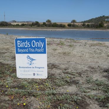 blue and white sign that reads "Birds Only Beyond This Point" on the shore of the lagoon