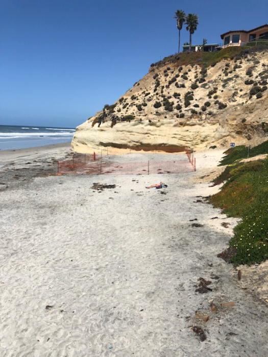 Fletcher Cove Sand Replenishment Begins Nature Collective