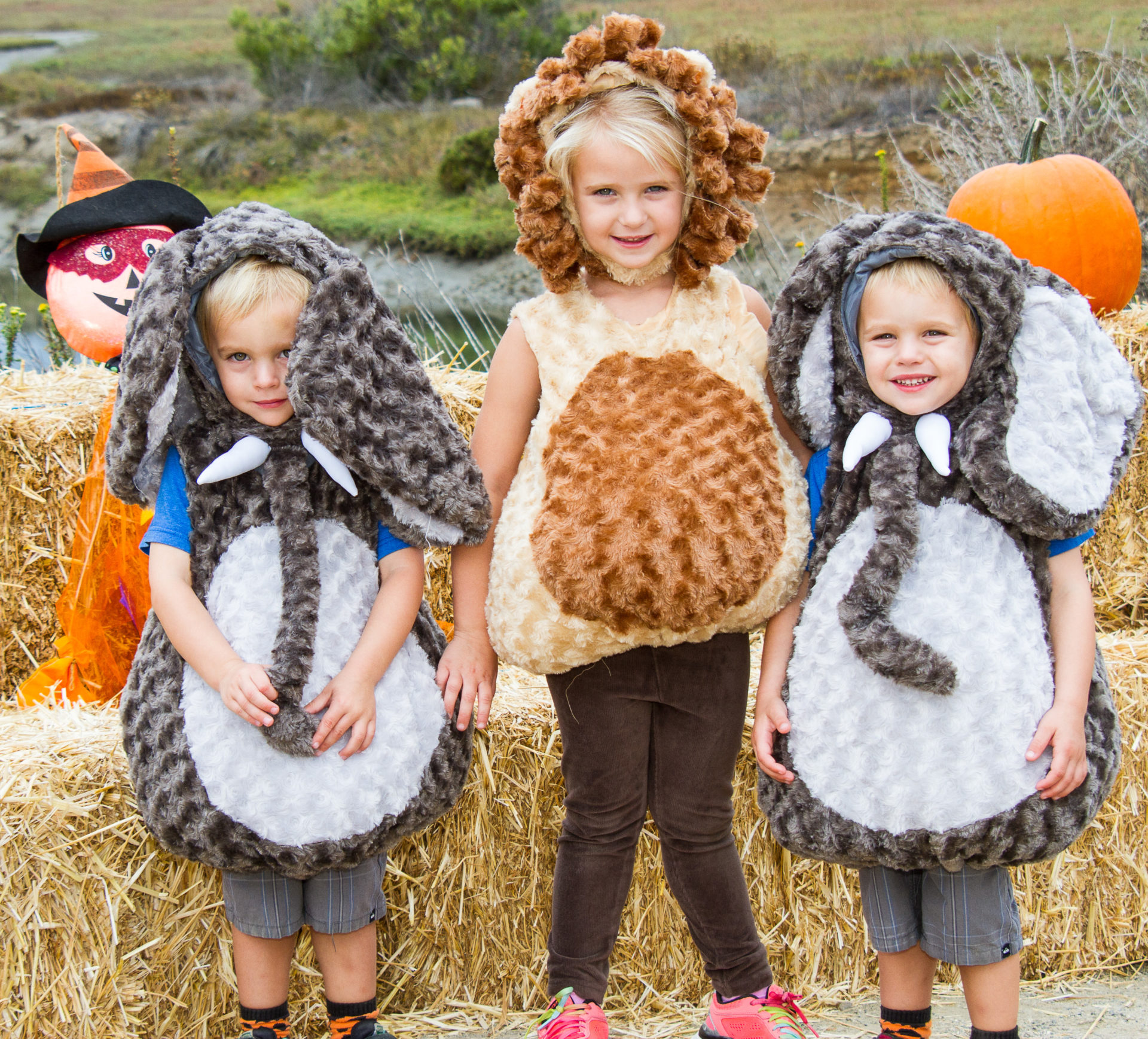 3 children in animal themed Halloween costume