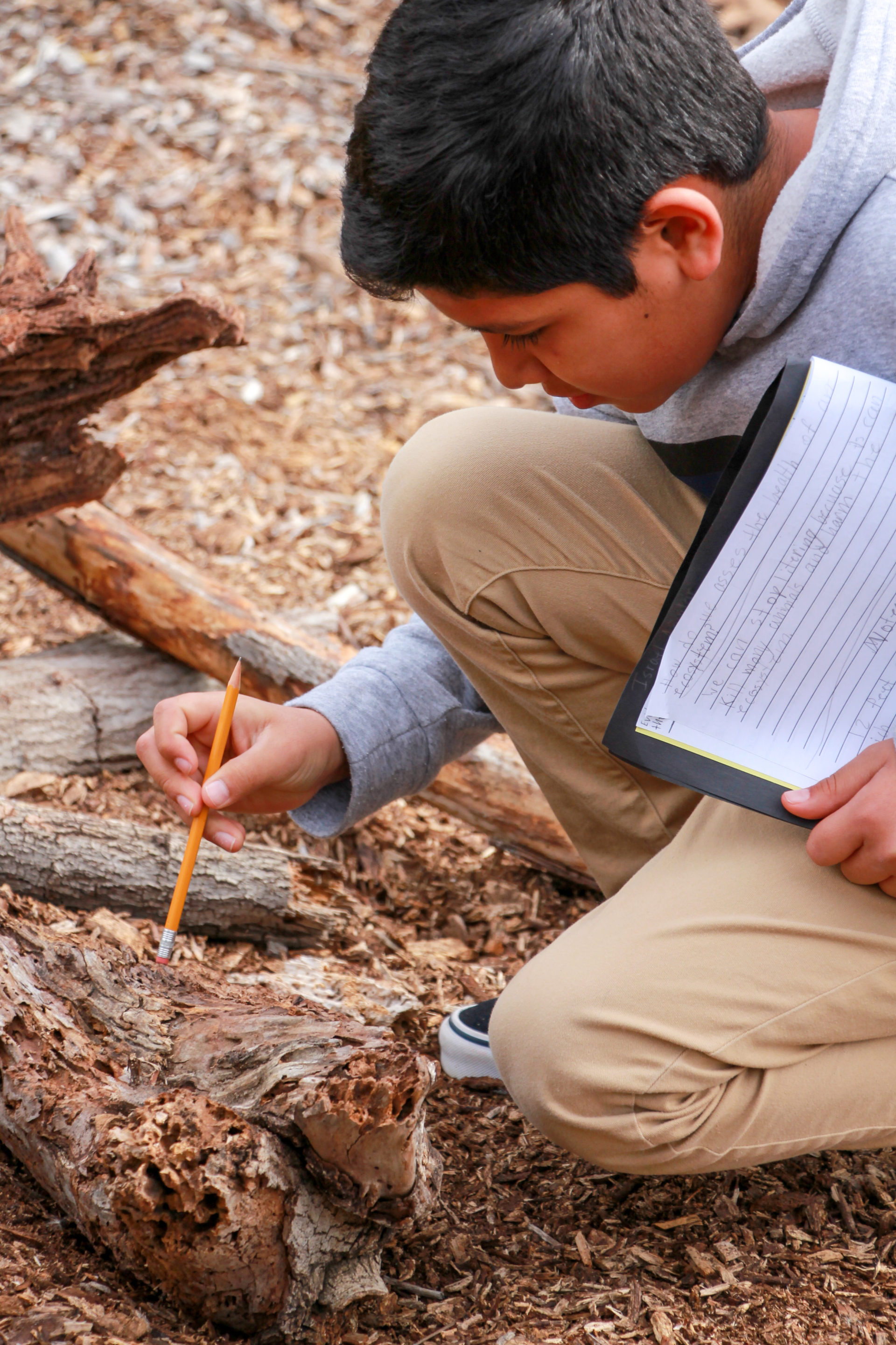 Child observing a decaying log