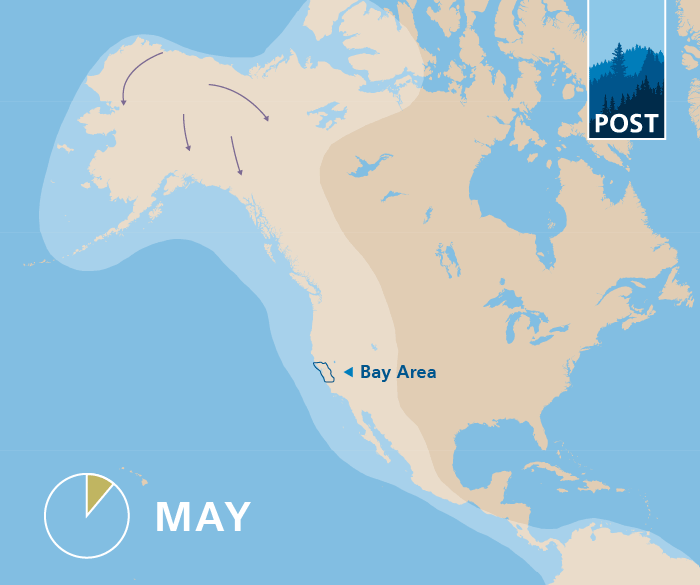 Pacific Flyway Animated Map