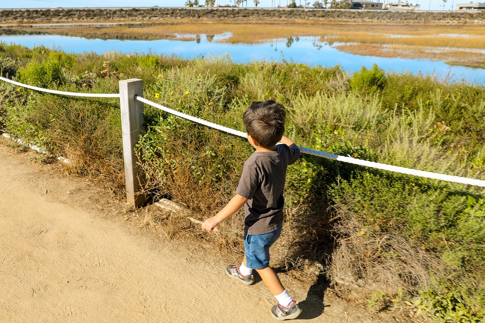 Child running along pole trail