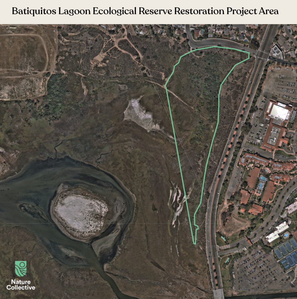 Map of Batiquitos Reserve Restoration Project Area