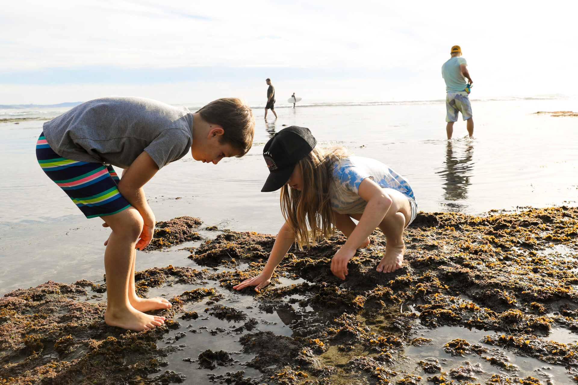 Children exploring tide pools