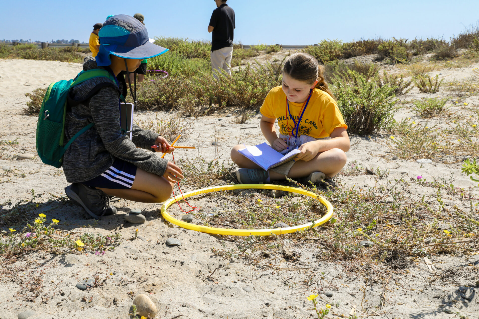 Students sitting on beach dune