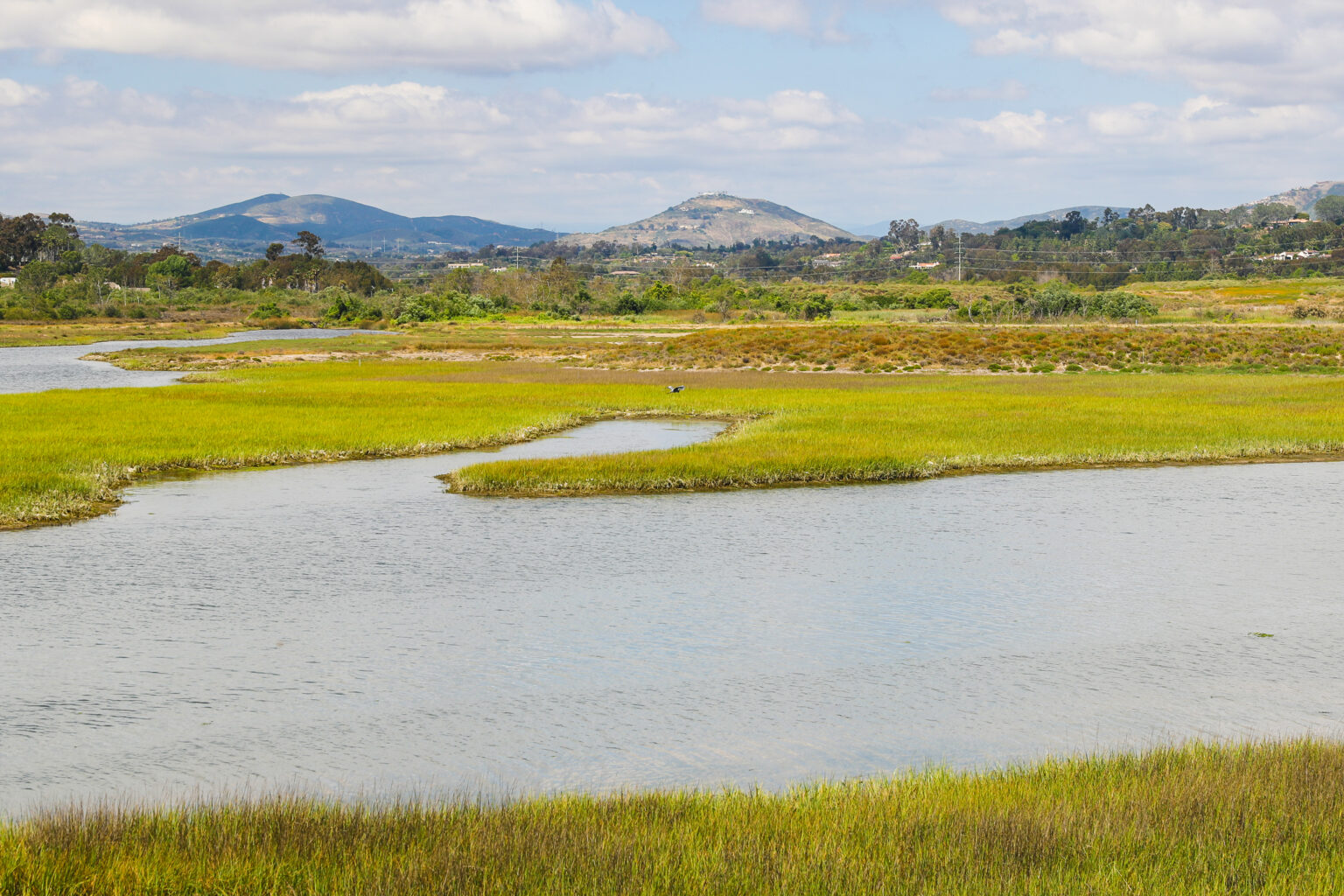 San Elijo Lagoon | Lecture: San Elijo Lagoon Restoration | Nature ...