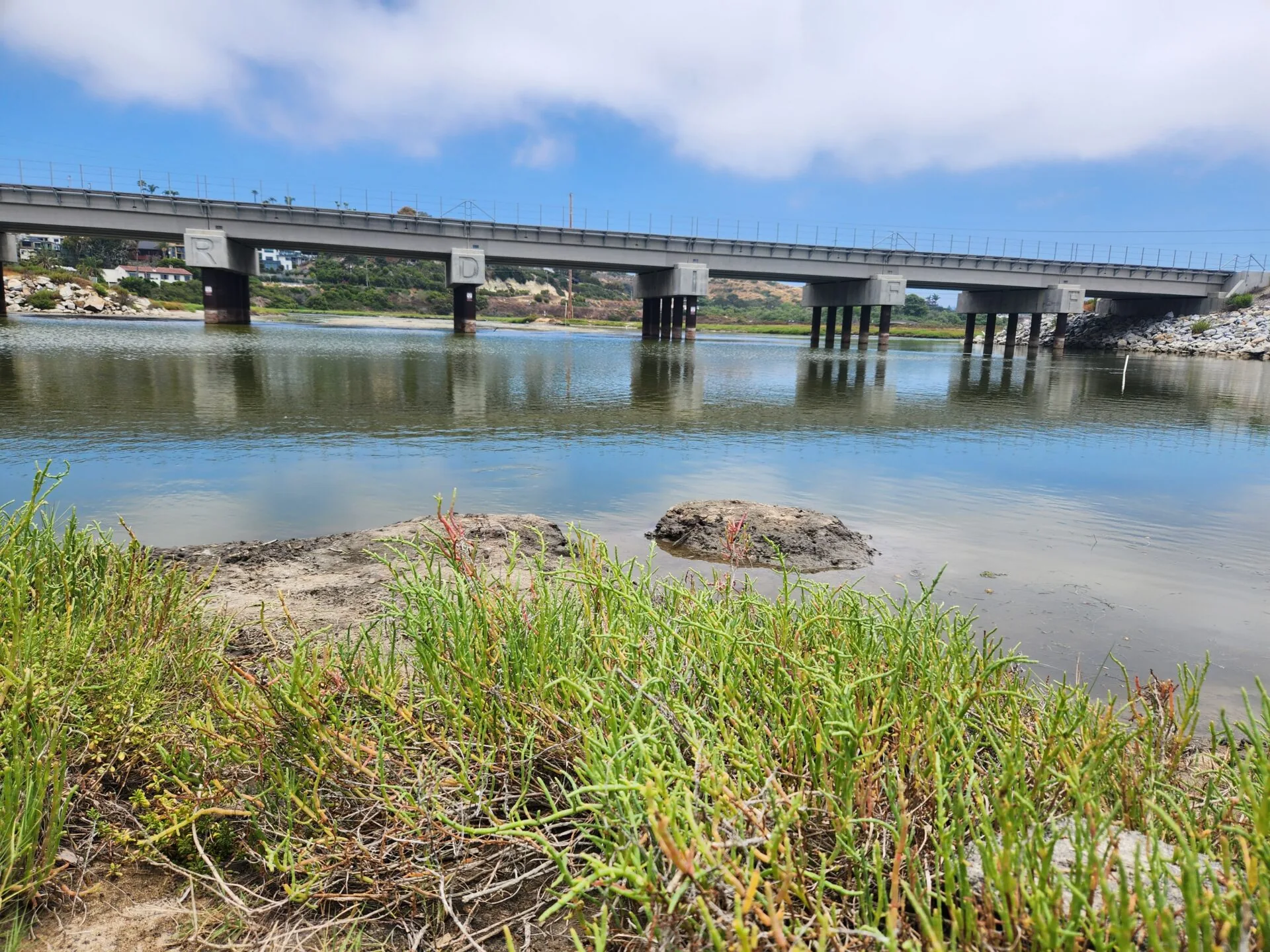 San Elijo Lagoon and Cardiff railroad bridge