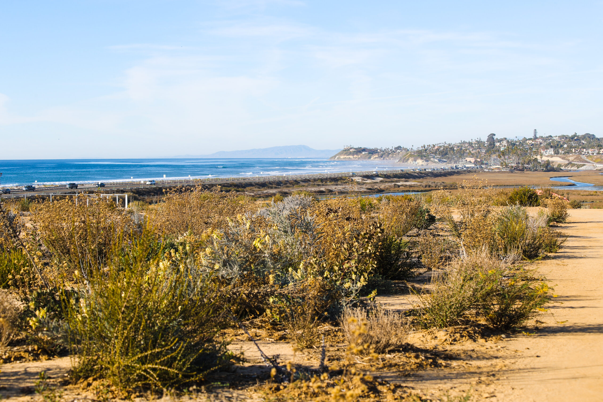 Harbaugh Seaside Trails native vegetation