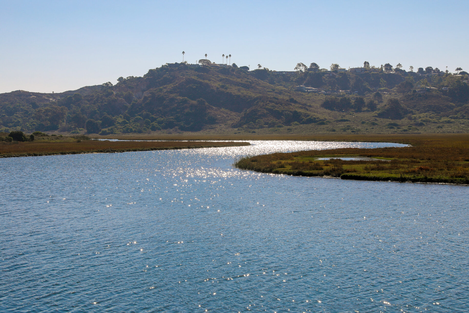 Sunlight reflecting on the blue water channels of San Elijo Lagoon