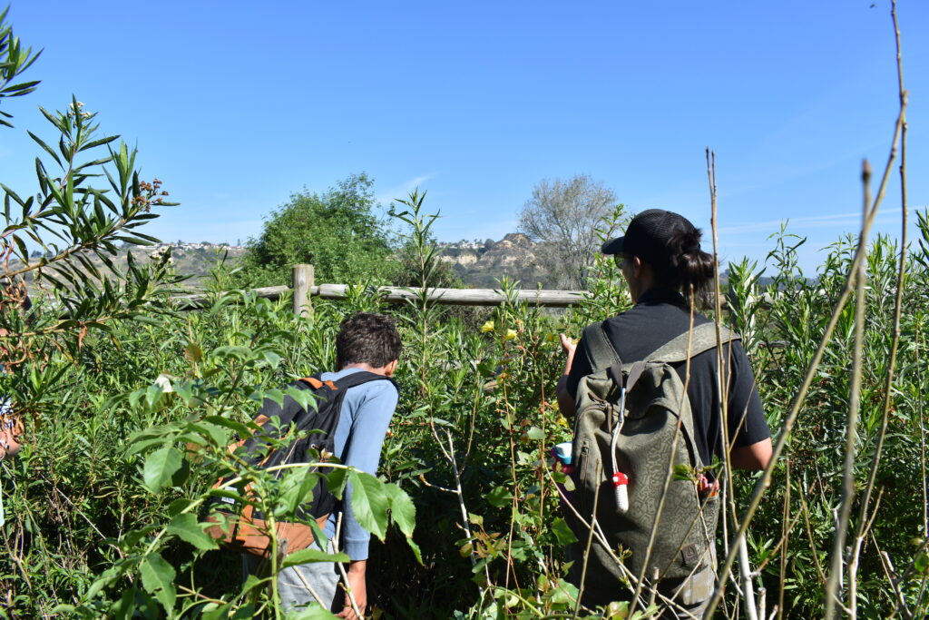Nature Collective Educator leads student on a tour of Native Plant Nursery